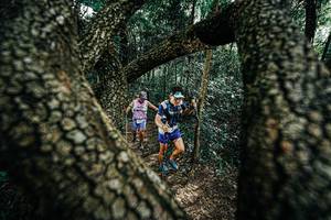 BIB: 
                            <button type="button" onclick="openModal(25392303)" class="btn btn-primary btn-sm float-right btn-popup" data-toggle="modal" data-target=".modal-high-quality">
                        <i class="fas fa-shopping-cart"></i> Add to Cart
                    </button>
                                            <button type="button" onclick="isThisMe(25392303, true)" class="btn btn-success btn-sm float-right btn-popup btn-isme hidden" data-toggle="tooltip" data-placement="bottom" title="นี่คือรูปของคุณใช่ไหม คลิกที่นี่เพื่อเอาเข้าอัลบั้ม">
                        <i class="fas fa-plus"></i> Add to album
                    </button>
                    <button type="button" onclick="isThisMe(25392303, false)" class="btn btn-warning btn-sm float-right btn-popup btn-isnotme hidden">
                        <i class="fas fa-ban"></i> Remove from album
                    </button>